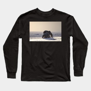 Golden Glow. Polar Bears at Sundown, Churchill, Canada (Please read description) Long Sleeve T-Shirt